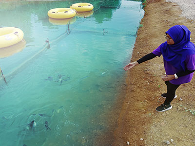 Fish Feeding Fish Feeding